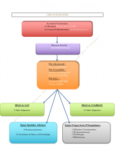 Organigramme 